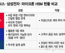AI반도체 시대…HBM, 영원한 승자는 없다