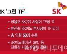 [단독] SK그룹 '친환경 그린 사업' 로드맵 다시 짠다