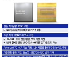 'HBM 왕좌' 노리는 삼성전자, '초격차' 승부수 통할까