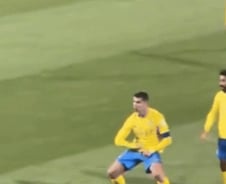 [더영상] '메시 연호 삐쳤나' 호날두 발끈…죽은 암컷 끌어안은 코알라