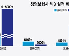 '믿을수 없는' 사상최대 이익 보험업계 "배당 빼먹기가 밸류업인가"