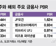 "수익 늘려도 배당 더 못해"…'오락가락' 정책, 금융 디스카운트 키웠다