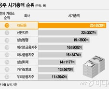 "'반토막' 난 ELS 말고 은행주 샀다면…" 금융주 외면 받는 이유