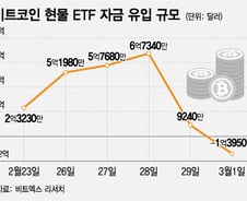 비트코인 현물 ETF에 쏠린 자금 200% 늘어 …美 나라빚이 호재?