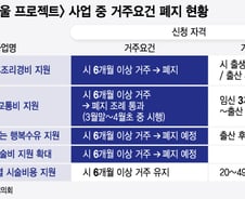 [단독]아기 울음소리 끊긴 서울..'거주 요건' 없애 출산율 끌어올린다
