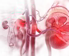 거품뇨 무시했다가 호흡곤란?…고혈압·당뇨 환자 '이 때' 자세히 봐야
