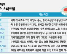소 도살 없이 '맛있는 고기' 먹는다…입맛 돋우는 'K배양육 기술'