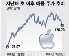 'AI 축제' 중에 올해 주가 11% 빠진 애플…반등은 언제?
