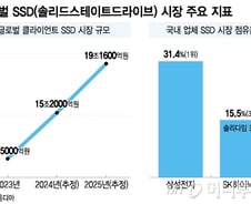 반도체도 예뻐야 한다…삼성·하이닉스 재고 도울 제품은?