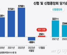 [단독]'20년 만에 반기 적자' 낸 신협, 연간 흑자로 돌아섰다