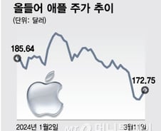 "애플은 다를 것"…발표도 안 했는데 높아지는 AI 기대감[오미주]