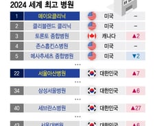 [더차트] 전세계 250개 병원 중 22위…국내 최고 병원은?