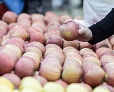 [검색폭발 이슈키워드] 애플레이션