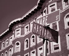 미국 아이비리그의 위기 [PADO]