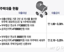 [단독]"결혼 페널티다"…'저출산 주택대출' 소득요건 완화 검토