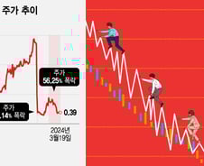 '80% 폭락' 눈물 뺀 그 주식, 또 샀다…"우린 작전세력" 리딩방의 정체