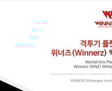 코인상장 백서에 파트너로 등장한 정치인들 "게임머니인줄…"[단독]