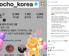 "서울 자치구 최초"..서초구 인스타그램 블루 인증배지 받았다