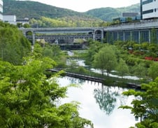 [르포]공장 하천에 왜가리·민물장어…생태공원 닮은 LGD 사업장