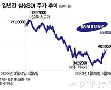 올해 40% 뛰어도 4년 전 주가…가장 저평가 받은 배터리주는?