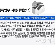 [단독]금감원 판단에 달린 '홍콩 ELS' 은행 10년 배당