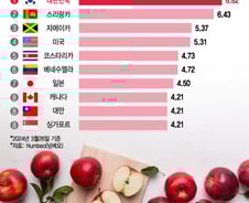 [더차트] 그냥 사과 아니고 '금사과' 맞았네…한국 사과값 세계 1위