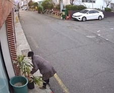 [더영상] "식물살해범" 충격 만행…태국도 반한 손흥민 '이 모습'