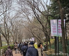 "그냥 옆에 롯데월드 갈래요"…벚꽃 없는 벚꽃축제 [르포]