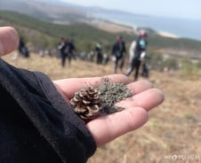 [르포]산벚처럼 희게 아름다운 부부 100쌍, 새카맣게 탄 산을 수놓다