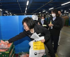 [르포] 장보듯 골라서 검체 수거…새벽 배송 농산물 검사센터 가보니