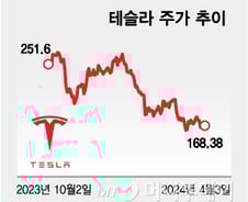 테슬라, 낮아지는 성장률에 높은 PER 부담…주가는 어디로[오미주]