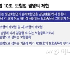 생명보험·손해보험, 굳이 왜 나눠?…통합론 17년만에 재등판