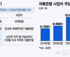 [단독]저축은행·새마을금고 이어 캐피탈까지…확산하는 '작업대출' 논란