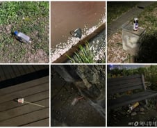 "버릴 데 없잖아" 물통·배변봉투 '휙'…벚꽃과 나뒹구는 양심[르포]