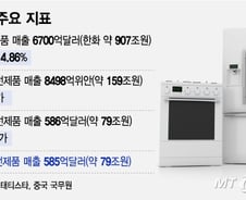 삼성·LG가 힘주는 AI 가전, 아직은 '글쎄'…"너무 비싸요"