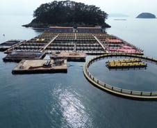 평범한 양식장인줄 알았는데…전세계 최고령 '오션테크' 성지