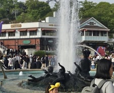 푸바오 떠난 에버랜드서 새롭게 뜨는 '이곳'…"꽃보러 왔어요"[르포]