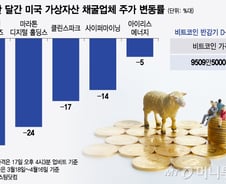 "연간 13조원 손실 전망"…공매도 자금 몰려간 '코인 채굴기업'