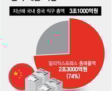 [단독] 중국 직구 4건 중 3건은 '알리'…작년 한국 매출 2.3조원