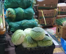 "중국산 쓰세요" 궁여지책…한 통 '9000원' 양배추에 자영업자 울상[르포]