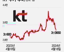 신고가 2개월 만 21% '주르륵'…KT 주가 반등, '이것'에 달렸다