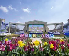 K-테마파크가 '공익사업'인 이유[우보세]