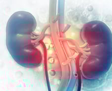 콩팥 망가져 투석 받으면 장애인?…우리가 몰랐던 법적 장애