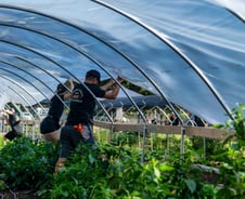 저렴한 이주노동력에 중독되는 선진국 [PADO]