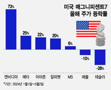 엇갈린 미국 테크기업 주가… 엔비디아 달리고, 테슬라·애플 뒷걸음