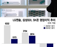 눈 앞에 펼쳐진 '죽음의 골짜기'…'55조원' 베팅 리스크 현실로