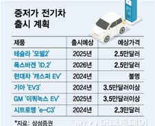"내년 저가 전기차" 머스크도 'P의 레이스'…중국 '치킨게임' 시작하나