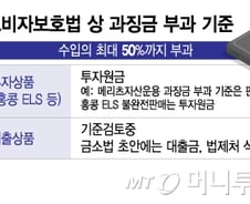 [단독]신한은행 중도금대출 금소법 '징벌적 과징금' 기준 '논란'