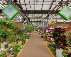 "현금이 최고"…인기 시든 카네이션, 풀 죽은 양재 꽃시장 [르포]