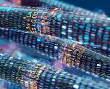 올해만 2배 올랐다…반도체 뛰어 넘은 AI 수혜주는?